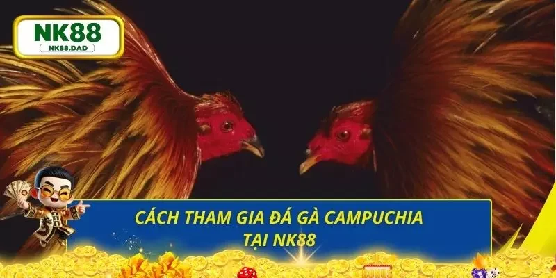 Hướng dẫn nhanh cách tham gia sân chơi đá gà 