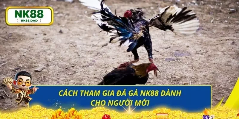 Chi tiết cách tham gia trò chơi đá gà tại nền tảng uy tín