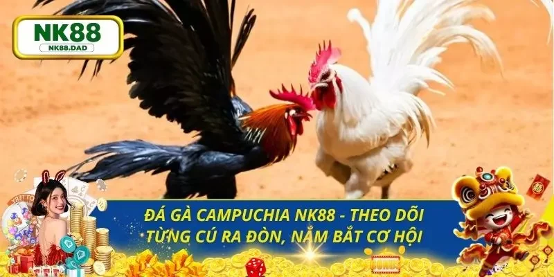 đá gà Campuchia