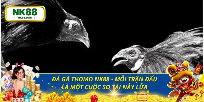 Đá gà Thomo