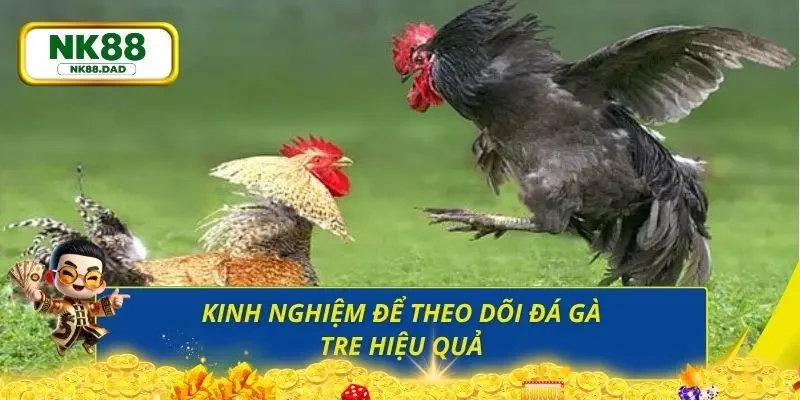 Những kinh nghiệm thực tiễn được người chơi lâu năm mách bảo