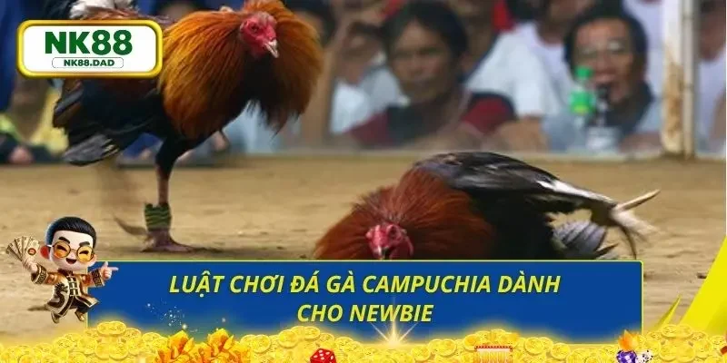 Điểm qua các quy luật cơ bản người chơi cần thực hiện