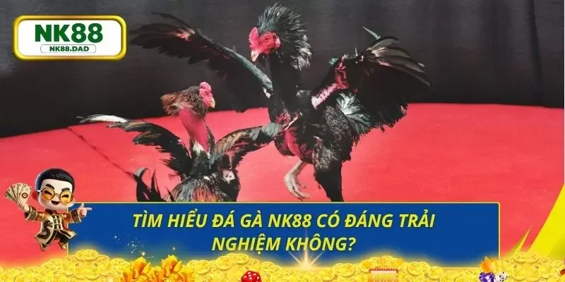 Cảm nhận đầy tích cực từ phía người chơi thực tế